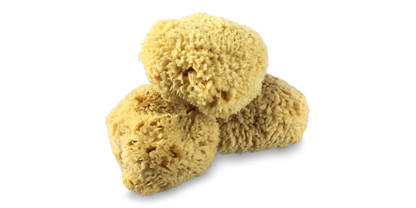 Are natural sea sponges is beneficial for humans?