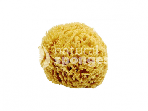 Bath Sponges (Wool)-1548