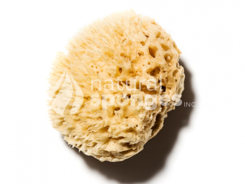 Bath Sponges (Wool)-1543