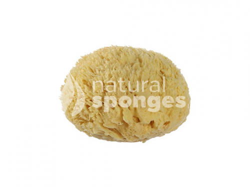 Bath Sponges (Wool)-1546