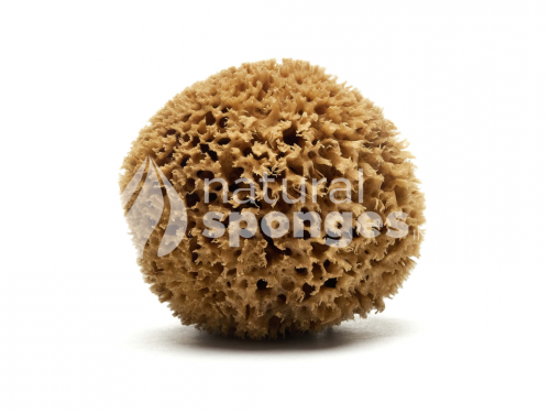 Bath Sponges (Wool)-1550